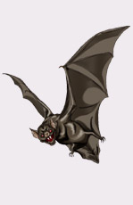 ������� ����