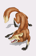 ������ �����